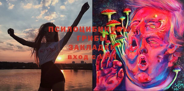 ПСИЛОЦИБИНОВЫЕ ГРИБЫ Алексеевка