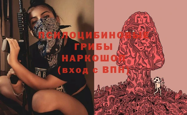 стафф Алзамай