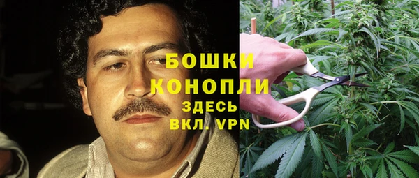 ПСИЛОЦИБИНОВЫЕ ГРИБЫ Алексеевка