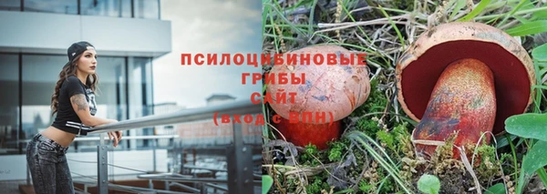 ПСИЛОЦИБИНОВЫЕ ГРИБЫ Алексеевка